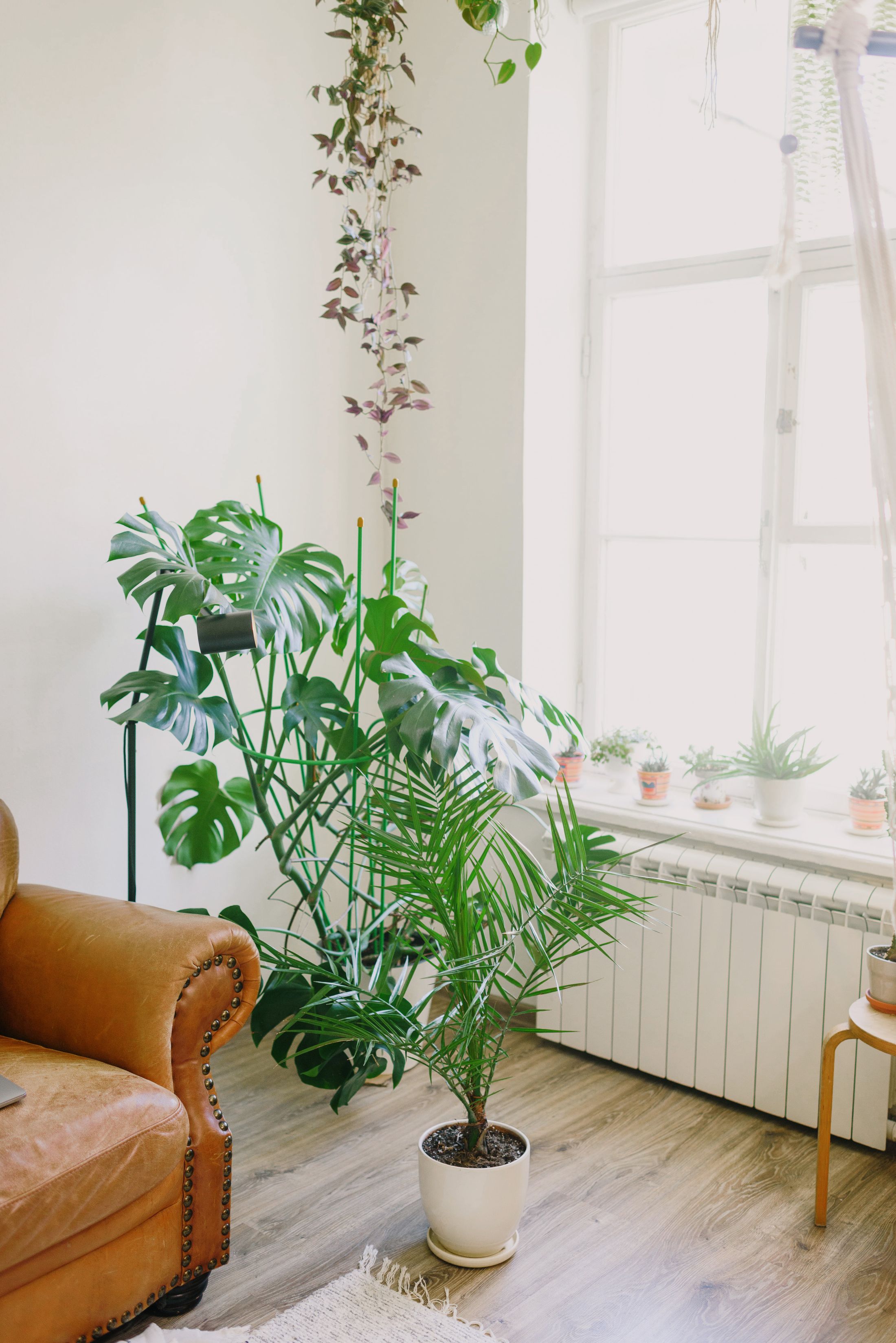 Sunlit living room with comfortable seating and a clean, welcoming interior